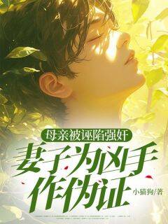 母亲被诬陷强奸，妻子为凶手作伪证小说_母亲被诬陷强奸，妻子为凶手作伪证小说结局阅读