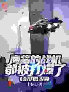 楚恒熊晓彤小说(鹰酱的战机都被打爆了,你管这叫模型?)_楚恒熊晓彤小说最新章节