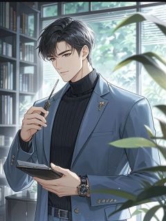 沈宴城林献章节免费阅读