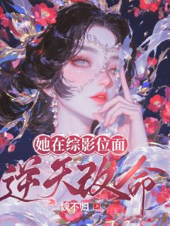 她在综影位面逆天改命小说(完整版)-魏嬿婉进忠章节阅读