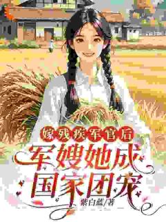 抖音沐亭夏周臣砚小说叫什么名字