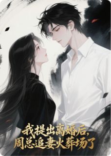 我提出离婚后，周总追妻火葬场了免费阅读全文，主角周凛许晴天苏雨柔小说完整版最新章节