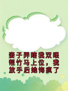 妻子弄瞎我双眼帮竹马上位,我放手后她悔疯了快手热推沈逸林韵如免费阅读