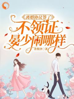 时苒晏承南离婚协议签了不领证,晏少闹哪样小说完整版