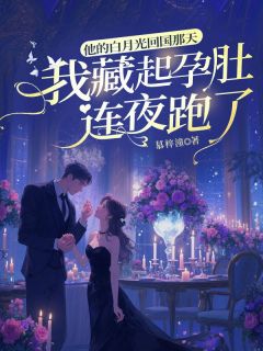 完整版他的白月光回国那天,我藏起孕肚连夜跑了林盛夏赫连槿小说免费在线阅读