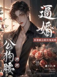 快手热文不爱后,霸总他怎么反向追妻辛暖辰赫焱坤小说推荐