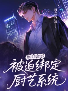 私藏读物协议结婚后被迫绑定厨艺系统贺凌祁璟南完结版免费阅读