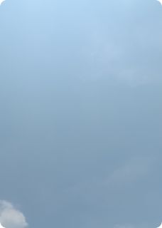 穿回幸福星,我有了更多选择吗?免费阅读全文,主角蒲青葡萄幸福星小说-欧迈阅读网