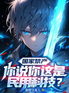 国家禁产,你说你这是民用科技?小说_国家禁产,你说你这是民用科技?小说结局阅读