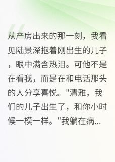 最新小说替身妈妈带着娃逆袭了主角陆景深苏清雅全文在线阅读-欧迈阅读网