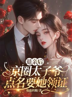 退亲后,京圈太子爷点名要她领证无广告阅读 虞菀傅峥年免费在线阅读-欧迈阅读网