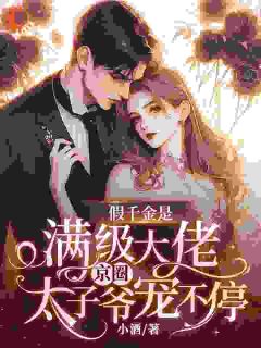 全本资源在线阅读假千金是满级大佬，京圈太子爷宠不停沈清陆厉炎