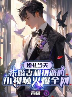 老书虫书荒推荐婚礼当天,未婚妻和初恋的小视频火爆全网txt小说阅读-欧迈阅读网