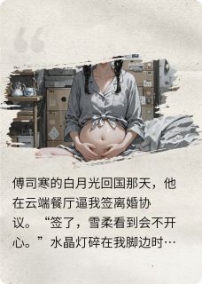 隐居氏的小说全网围观我怀了渣总龙凤胎主角是傅司寒张恒