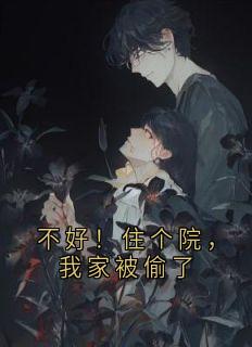 无弹窗小说不好!住个院,我家被偷了 作者佚名