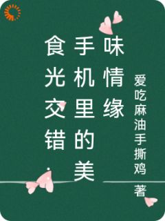 高质量小说食光交错:手机里的美味情缘在线试读-欧迈阅读网