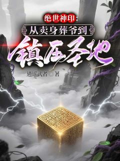 绝世神印:从卖身葬爷到镇压圣地叶二叶城南小霸免费全章节目录阅读