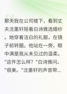 江澄沈墨轩林雨离婚,让我遇见真爱小说完整版