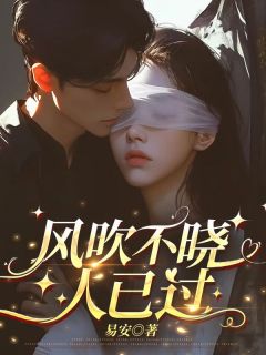 风吹不晓人已过陆聿珩沈梨初小说全文阅读