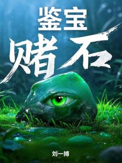 抖音完结鉴宝赌石李伟张辉煌(全文在线阅读)