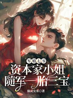 快手钟筱宋廷深主角的小说全本章节大结局