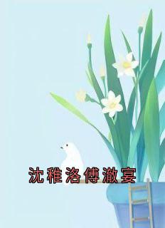 佚名写的小说沈稚洛傅澈宴在线阅读