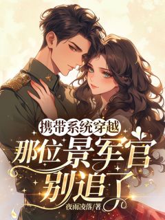 携带系统穿越,那位景军官别追了小说的书名是什么