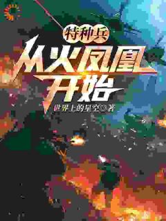 书荒推荐特种兵:从火凤凰开始(秦天叶寸心)在线试读