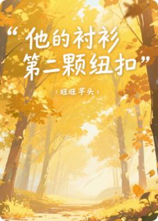 值得熬夜看完的他的衬衫第二颗纽扣小说阅读-欧迈阅读网