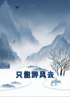 茜茜迟辞风小说<只能辞风去>全文在线阅读-欧迈阅读网