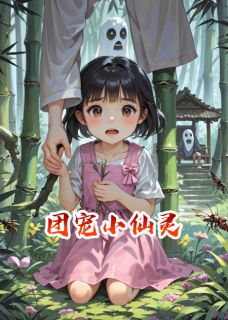 团宠小仙灵小说(完结)-苏慕辰灵儿无删减阅读