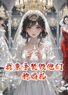 我亲手焚毁他们的婚礼(陈默苏晚)最新章节试读-欧迈阅读网