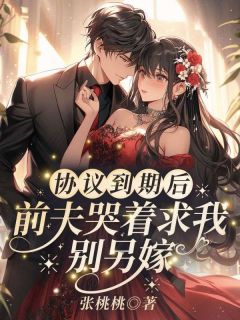 主角是林如霜厉文渊的小说叫什么协议到期后,前夫哭着求我别另嫁免费全文阅读-欧迈阅读网