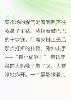 白良苏怀瑾是什么小说免费版阅读抖音热文