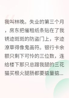 我能听见猫说话后，破案如神甜甜三轮全章节目录免费阅读-欧迈阅读网