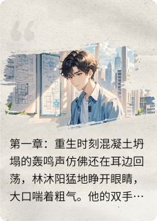 重生后,我竟然还在土木当牛做马在线全文阅读-主人公林沐阳苏雅小说