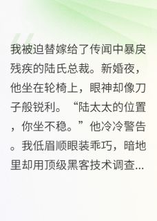 书荒推荐替嫁后我和装残大佬掉马了(苏晚陆霆琛)在线试读-欧迈阅读网