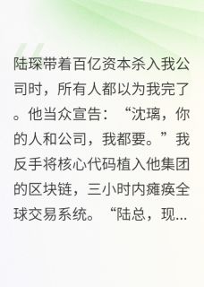 (独家)代码女王驯服资本巨鳄沈璃陆琛小说-欧迈阅读网