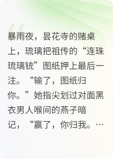 快手连珠琉璃铳小说全本章节大结局