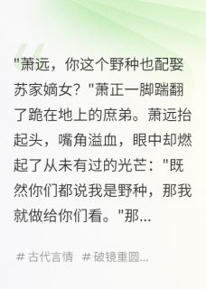 庶子之怒,天地色变章节全目录 萧远苏婉儿全文免费阅读