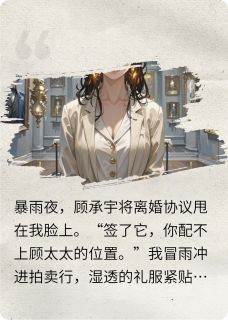 苏晚陆沉舟结局是什么 苏晚陆沉舟免费阅读全文-欧迈阅读网