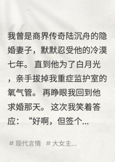 最新小说重生后我让丈夫和白月光锁死主角陆沉舟顾衍全文在线阅读-欧迈阅读网