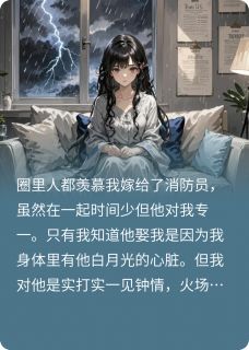 私藏读物夏之阮颜江澜陆思安完结版免费阅读