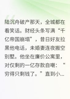 霸总破产,只剩下一个亿了小说主角是陆沉舟林晚全文完整版阅读-欧迈阅读网