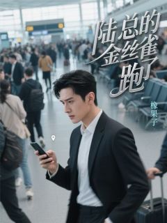 乔伊陆霆枭完整版陆总的金丝雀跑了全文最新阅读