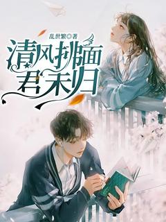 清风拂面，君未归乔如华景舟全章节目录免费阅读