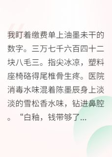 灿灿陈墨辰白釉重生后我不再当舔狗,男神回头了全文(灿灿陈墨辰白釉)章节免费阅读