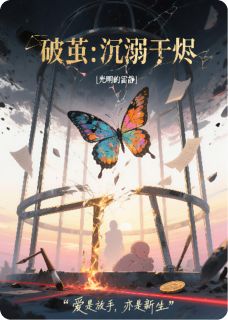 精彩小说破茧:沉溺于烬陆沉苏晴全章节在线阅读-欧迈阅读网