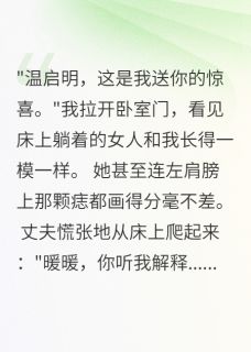 替身出轨：丈夫的完美复制品小说免费阅读 温启明暖暖白露大结局完整版