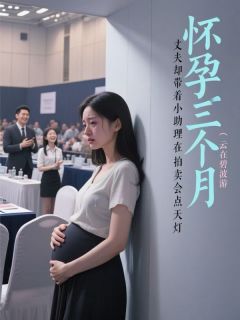 主角苏铭宋艳小说完整版最新章节-怀孕三个月，丈夫却带着小助理在拍卖会点天灯免费阅读全文